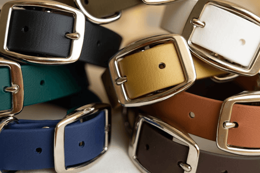Biothane Dog Collars: The Stylish Choice for Modern Pups
