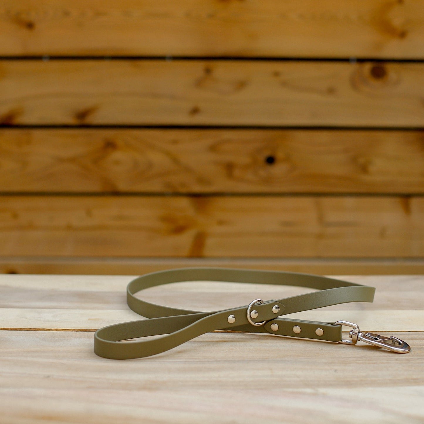 Biothane 3/4" Large Clasp Leash