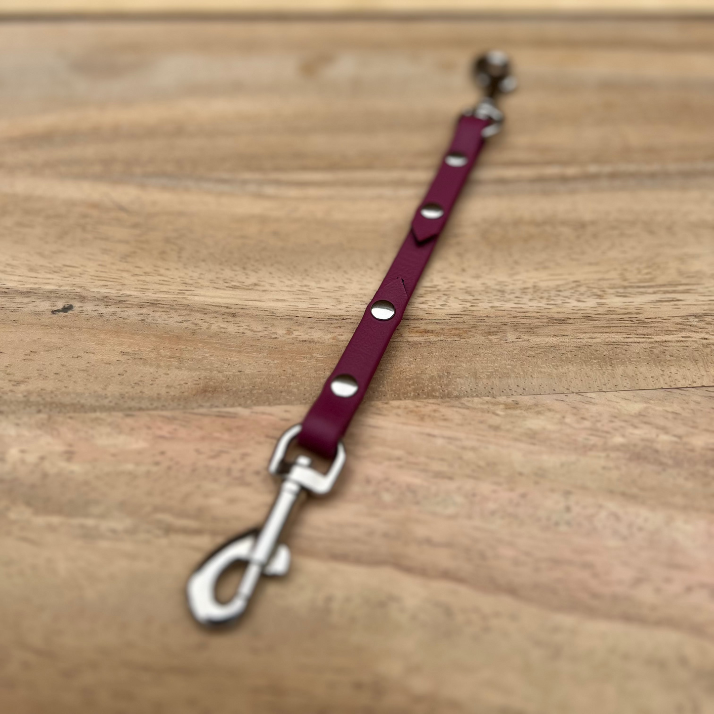 Biothane Safety Strap