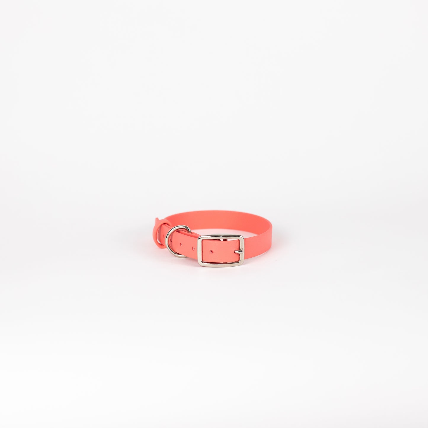 Biothane 3/4" Classic Buckle Collar