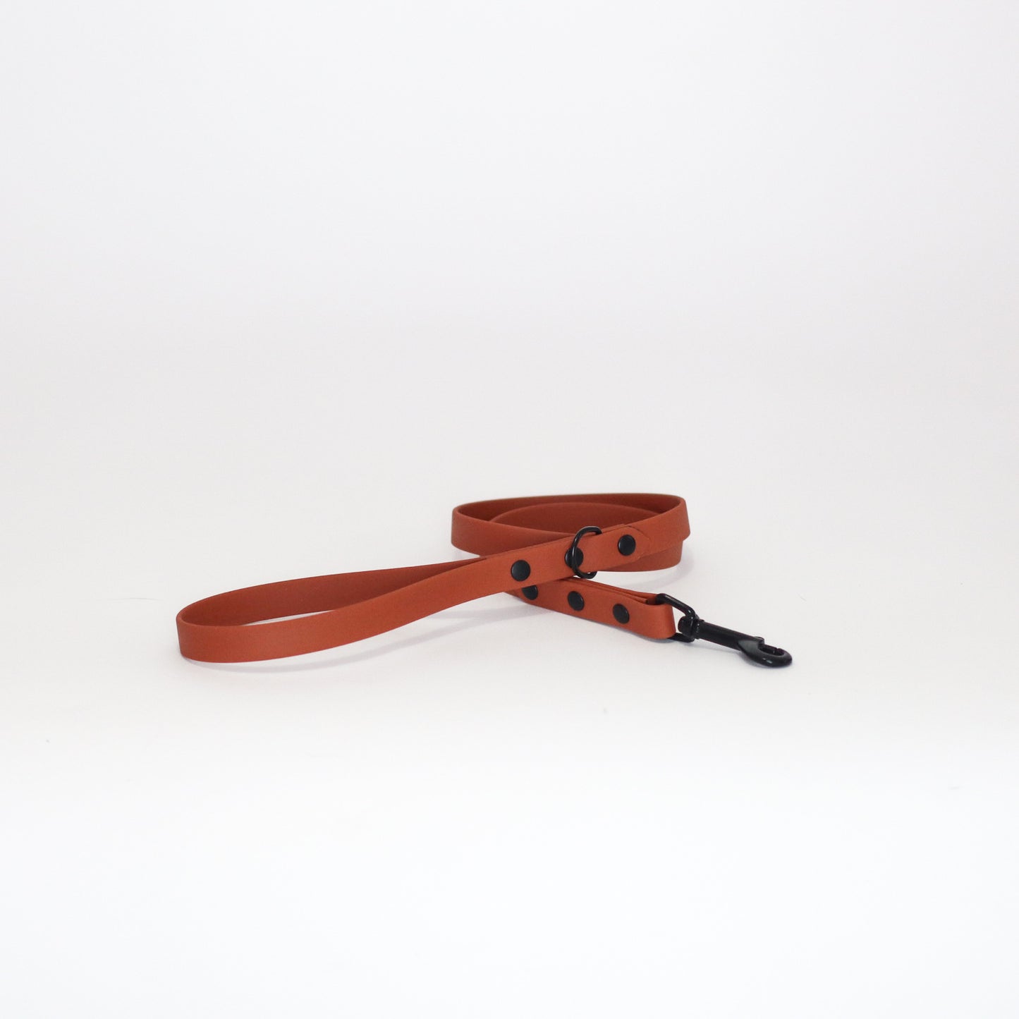 Biothane 5/8" Classic Leash