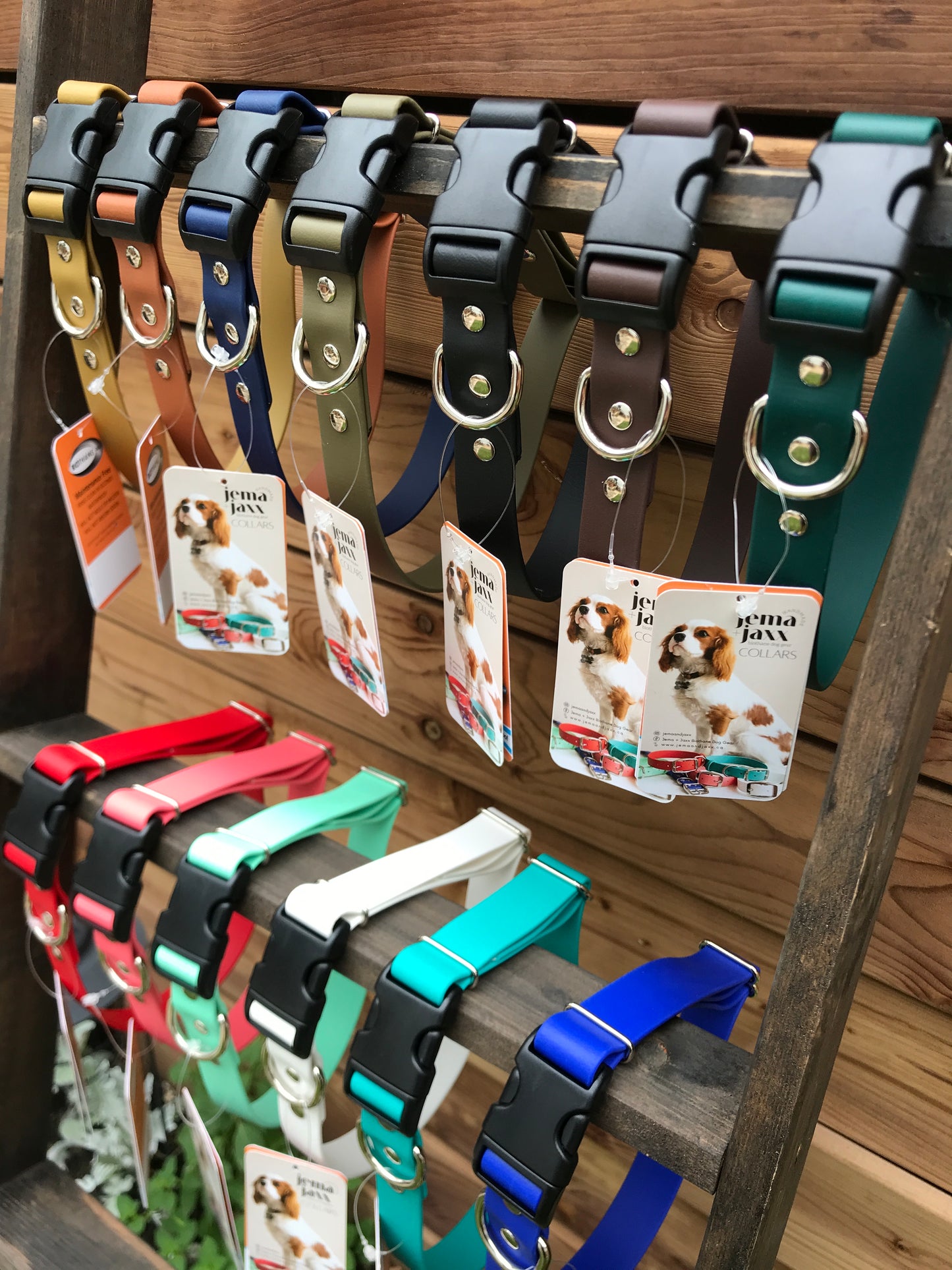 Biothane 1" Adjustable Collar