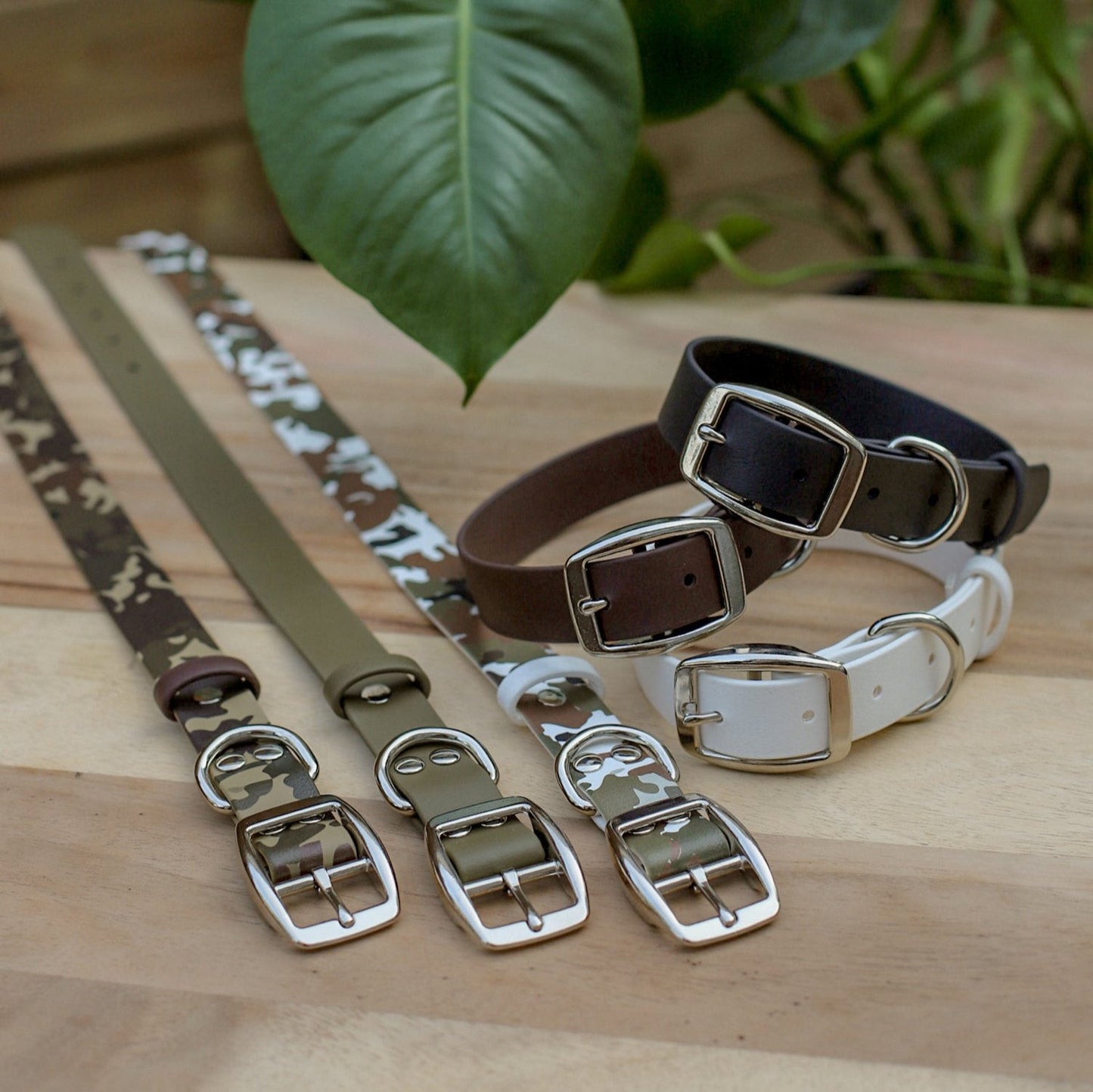 Biothane 1" Classic Buckle Collar