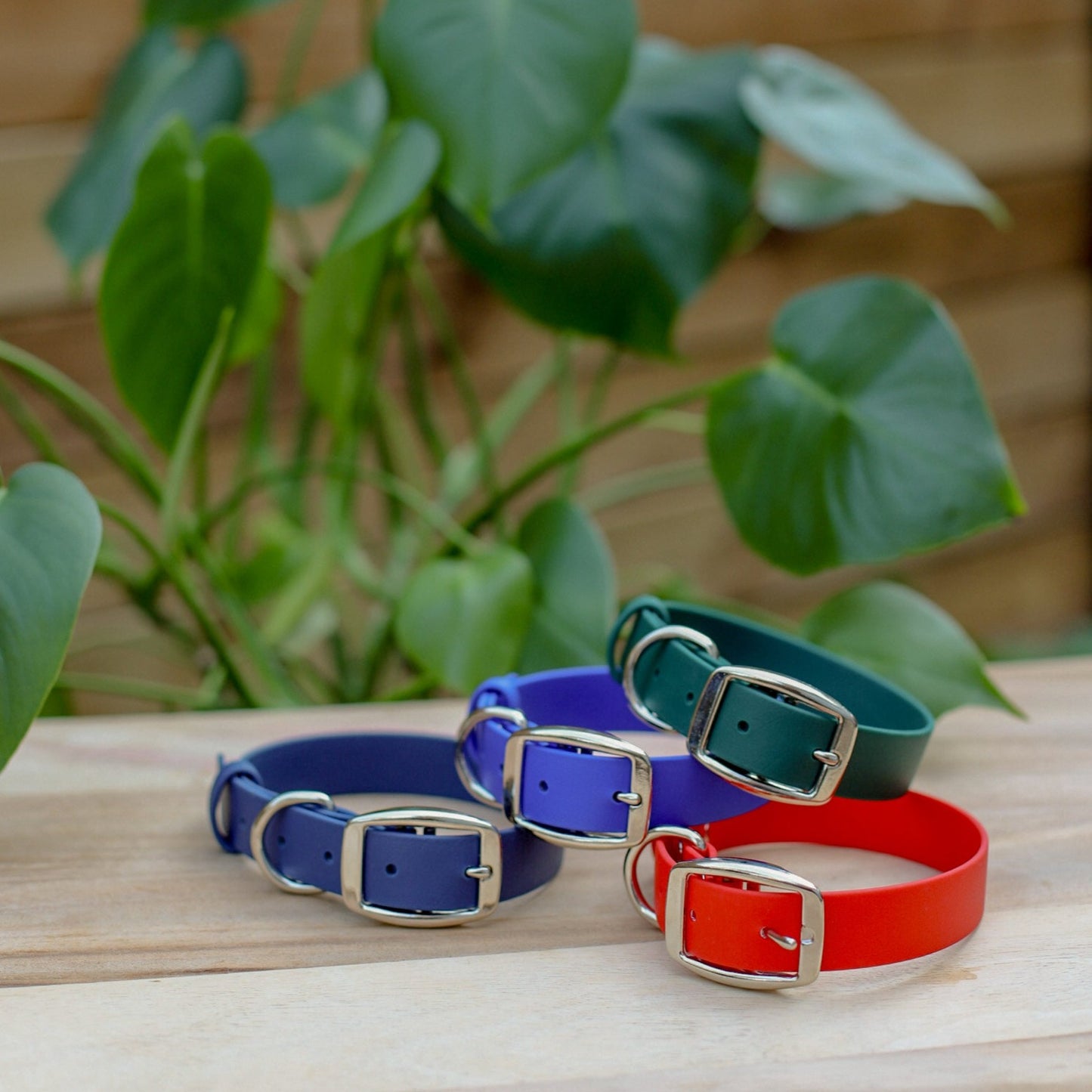 Biothane 1" Classic Buckle Collar