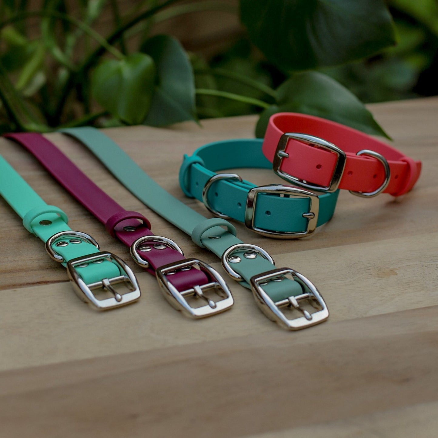 Biothane 1" Classic Buckle Collar