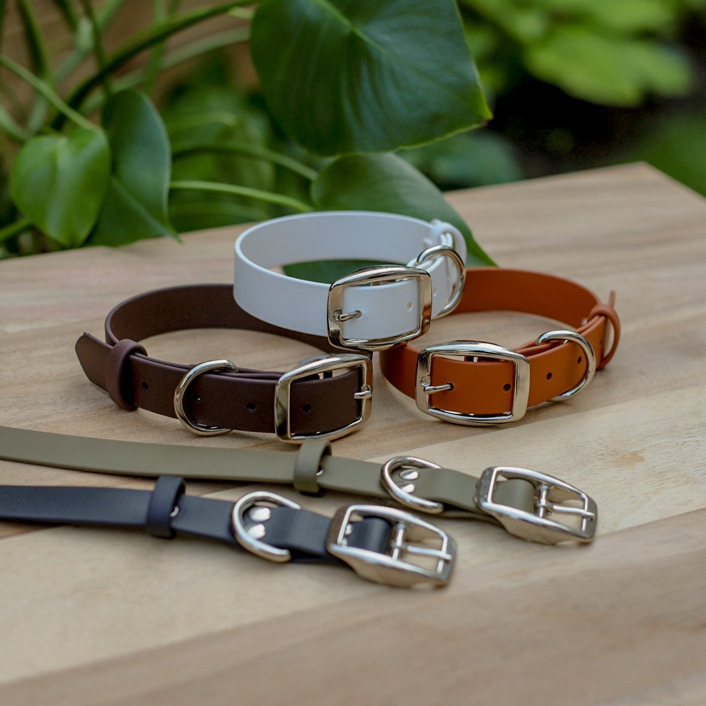 Biothane 1" Classic Buckle Collar