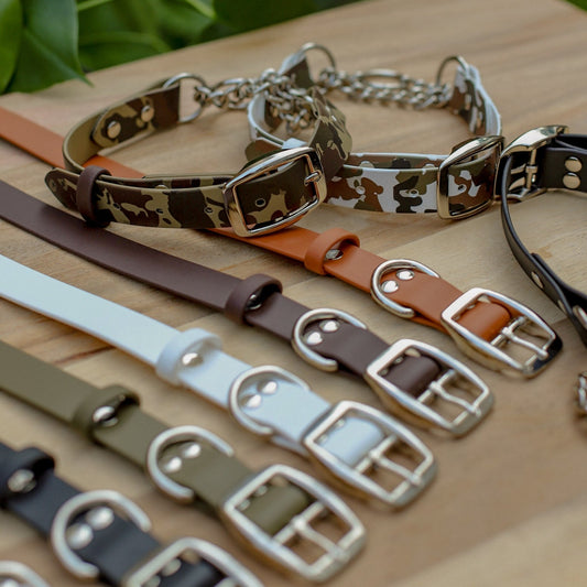 Biothane 1" Classic Martingale Collar