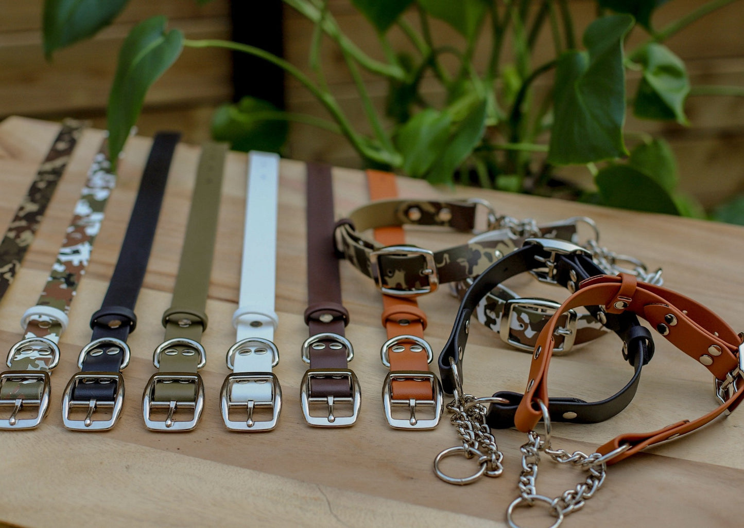 Biothane 1" Classic Martingale Collar