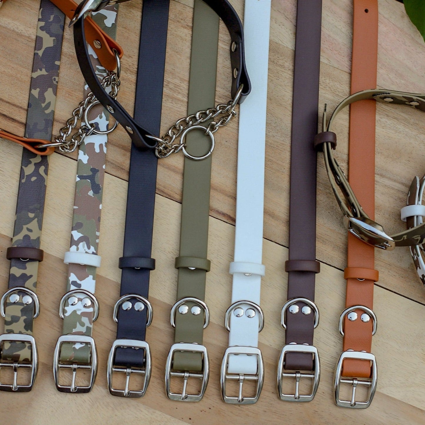 Biothane 1" Classic Martingale Collar