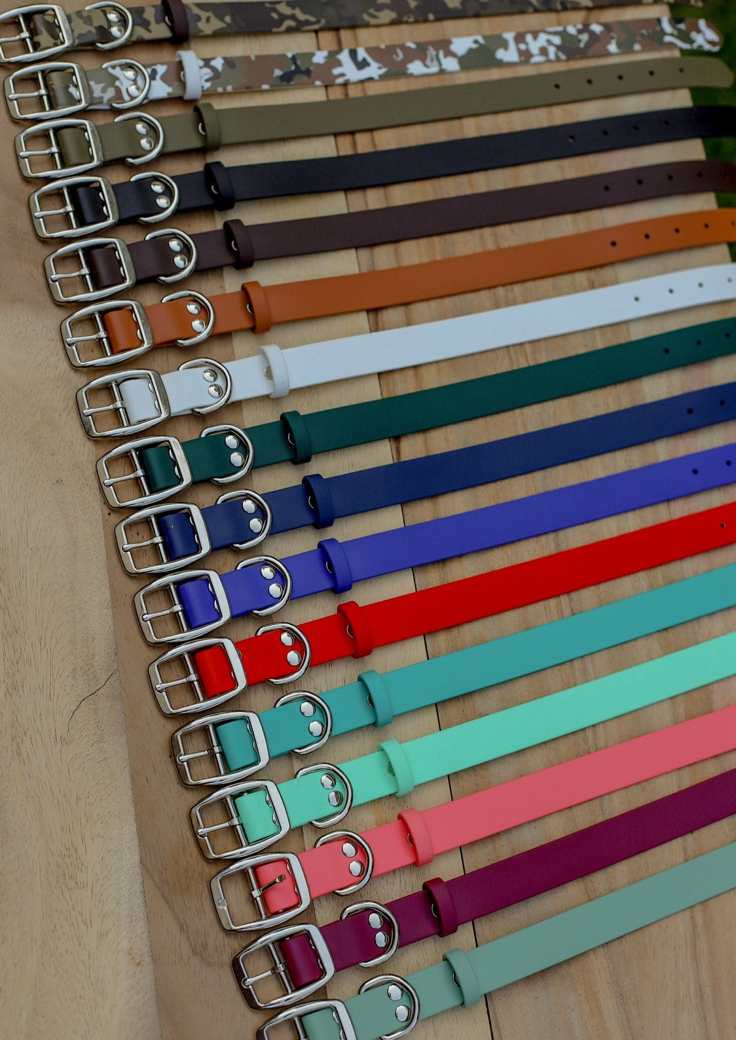 Biothane 1" Classic Buckle Collar
