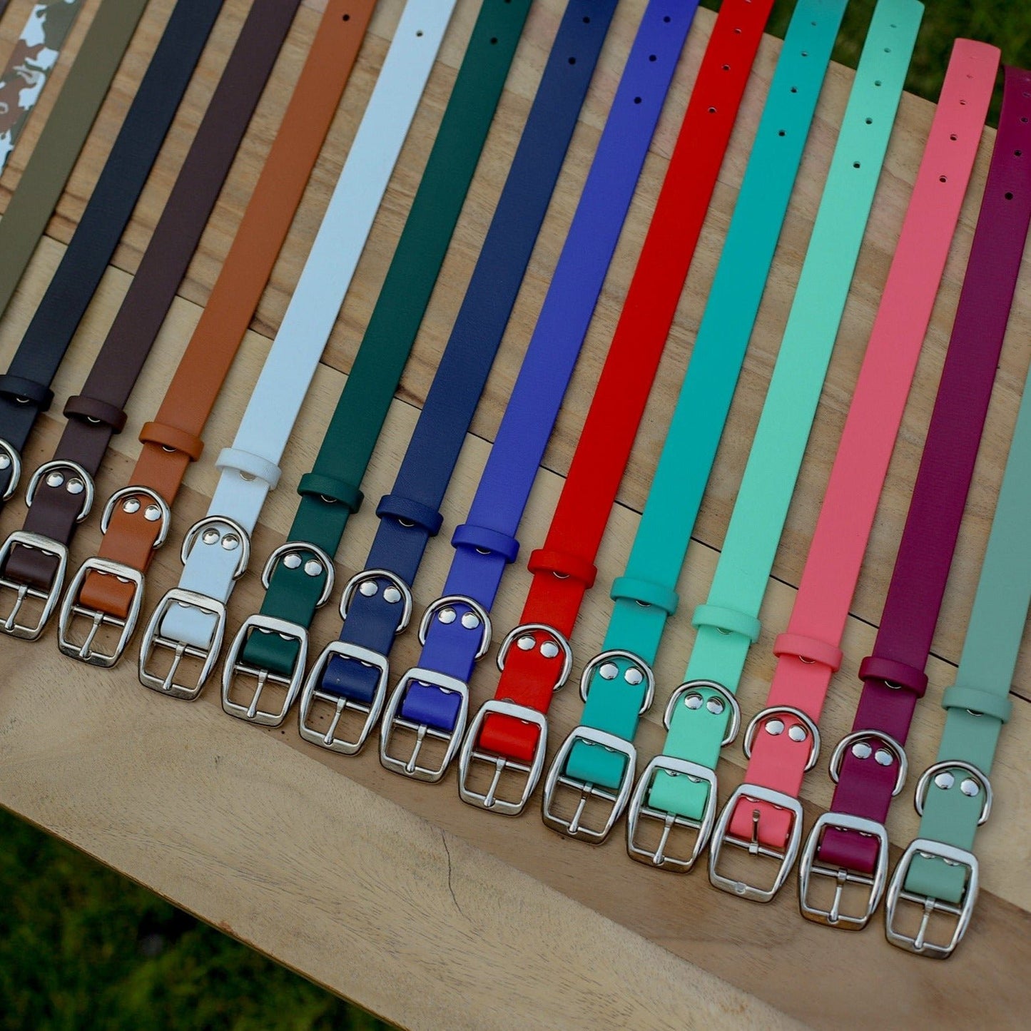 Biothane 1" Classic Martingale Collar