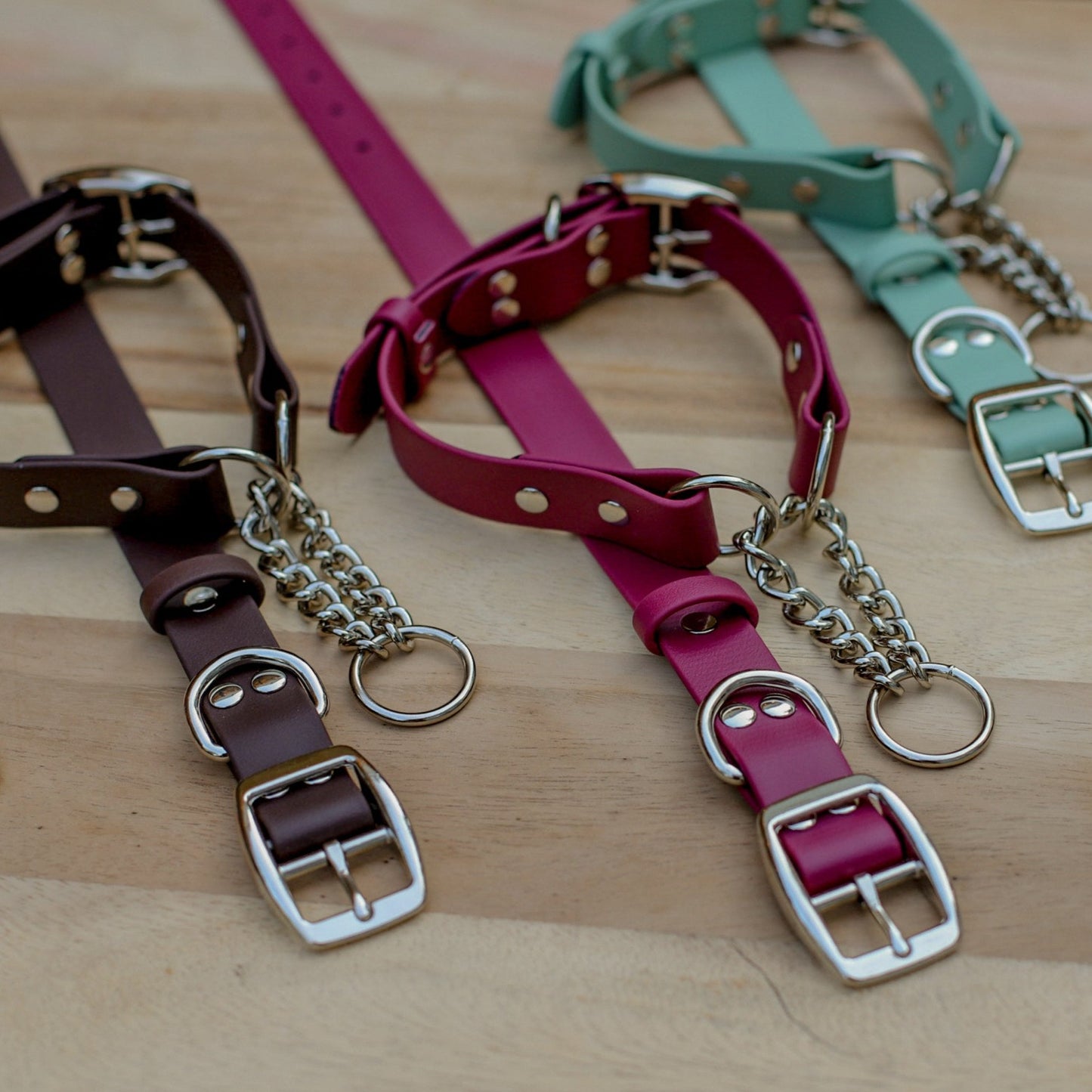 Biothane 1" Classic Martingale Collar