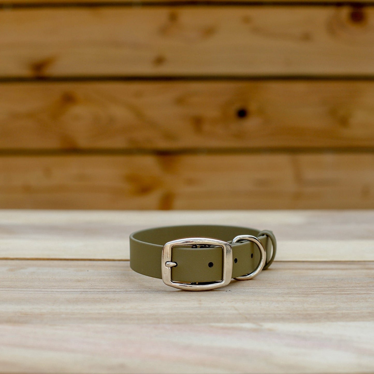 Biothane 1" Classic Buckle Collar