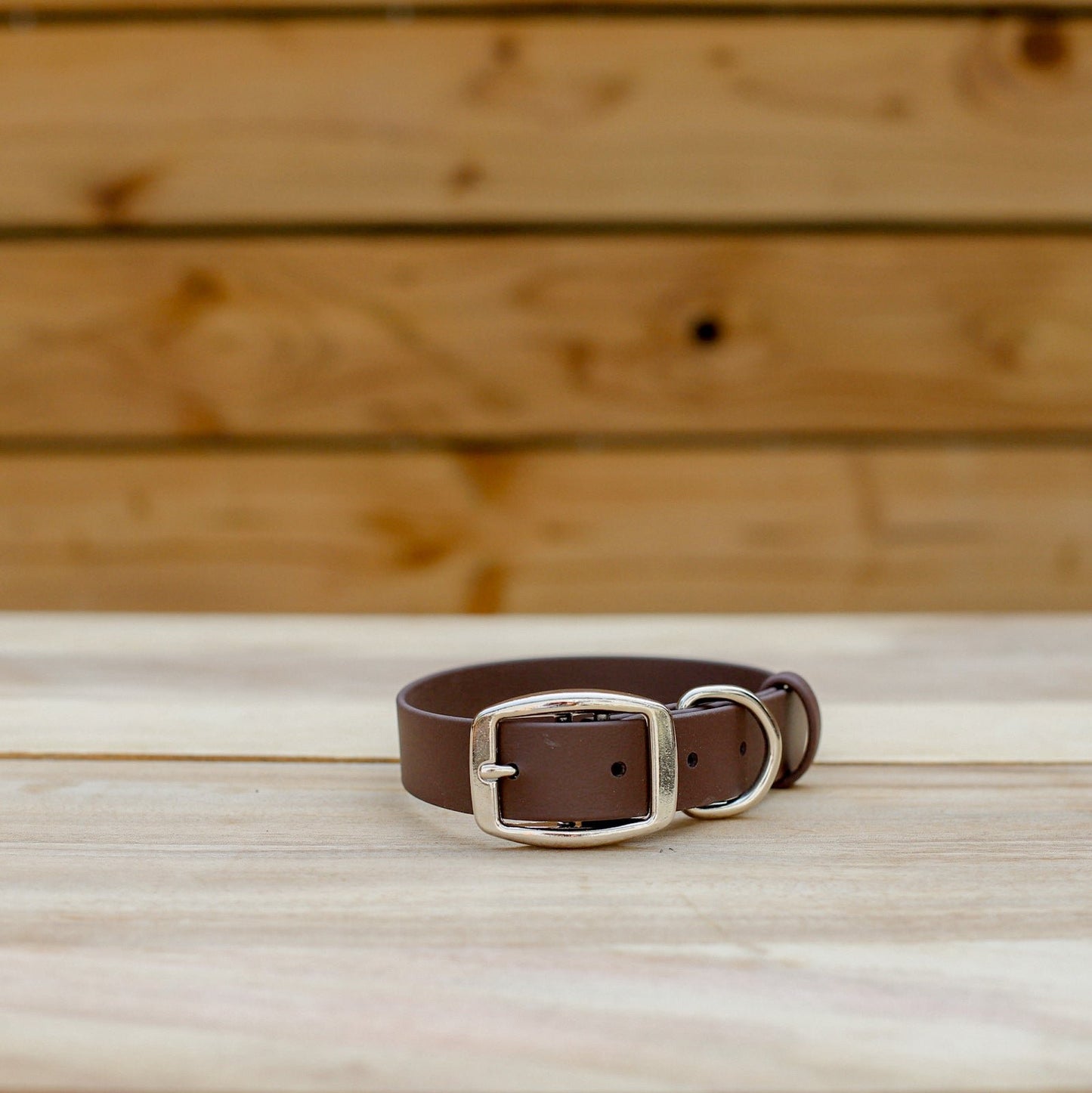 Biothane 1" Classic Buckle Collar