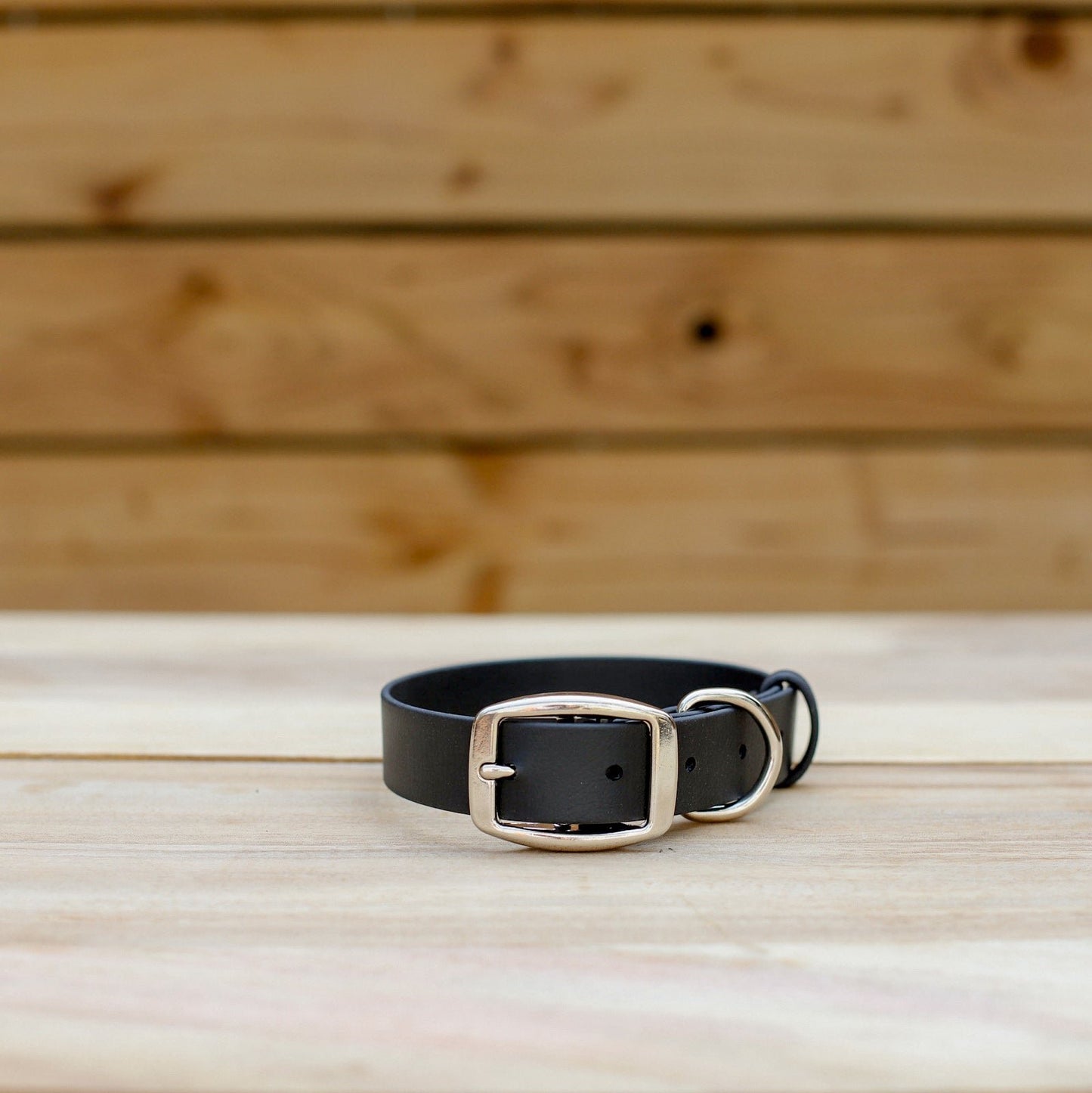 Biothane 1" Classic Buckle Collar