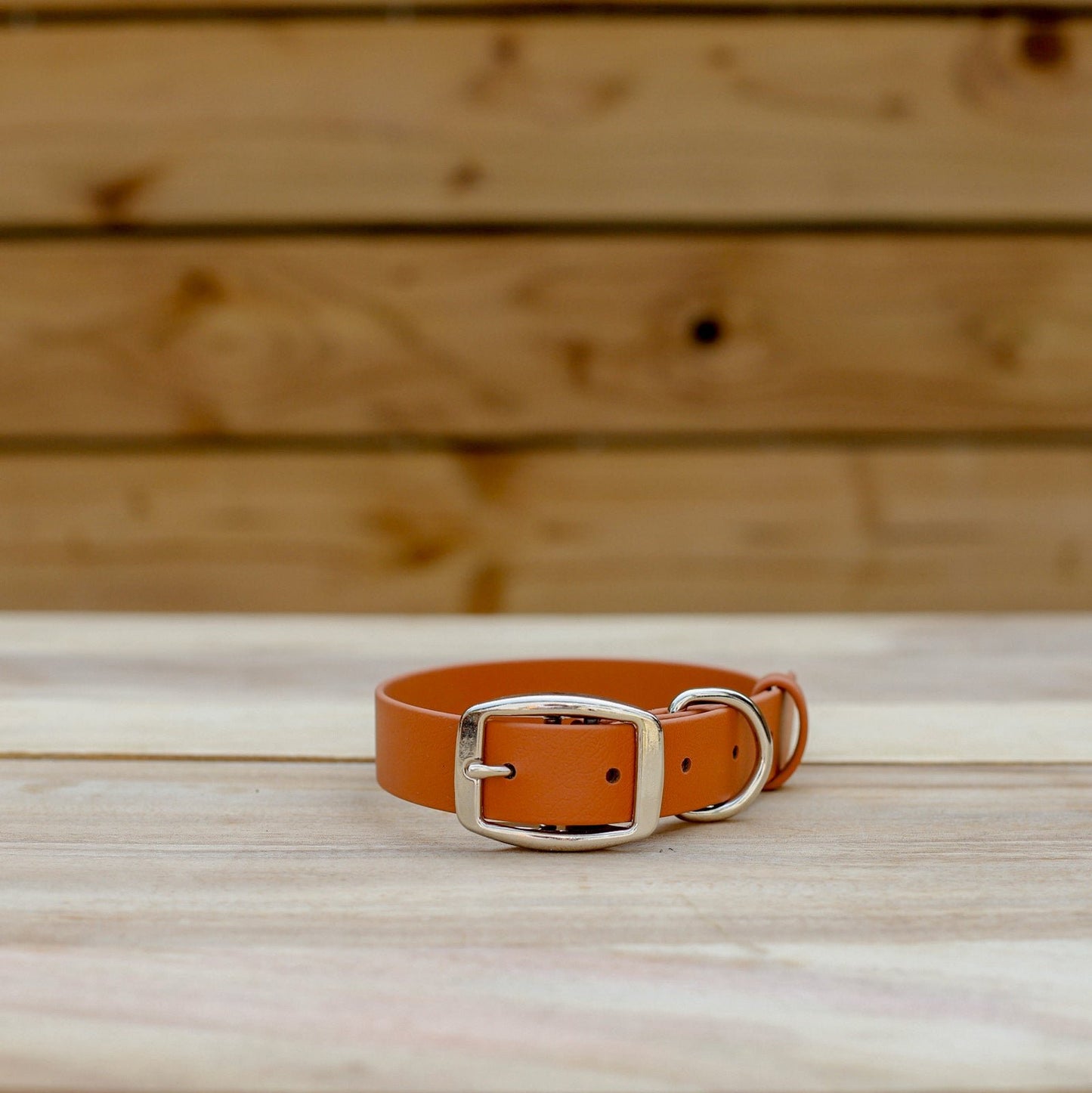 Biothane 1" Classic Buckle Collar