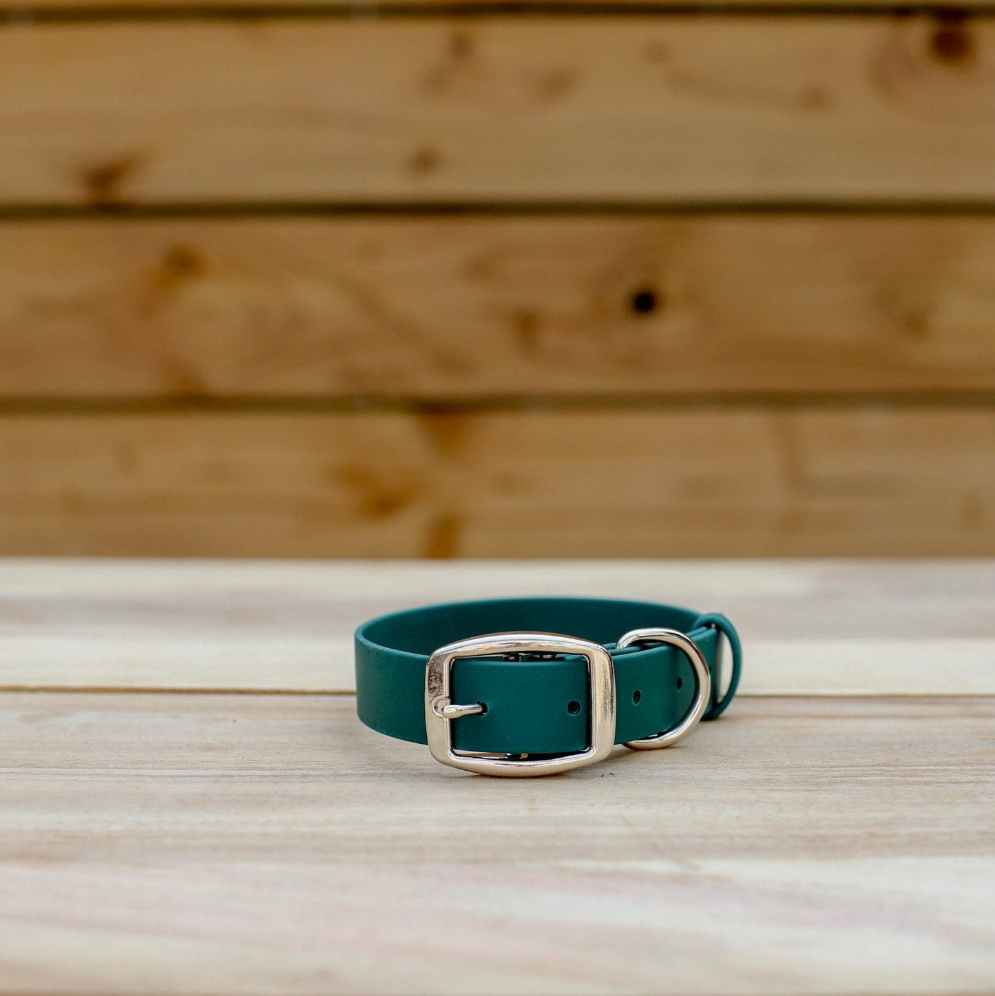 Biothane 1" Classic Buckle Collar