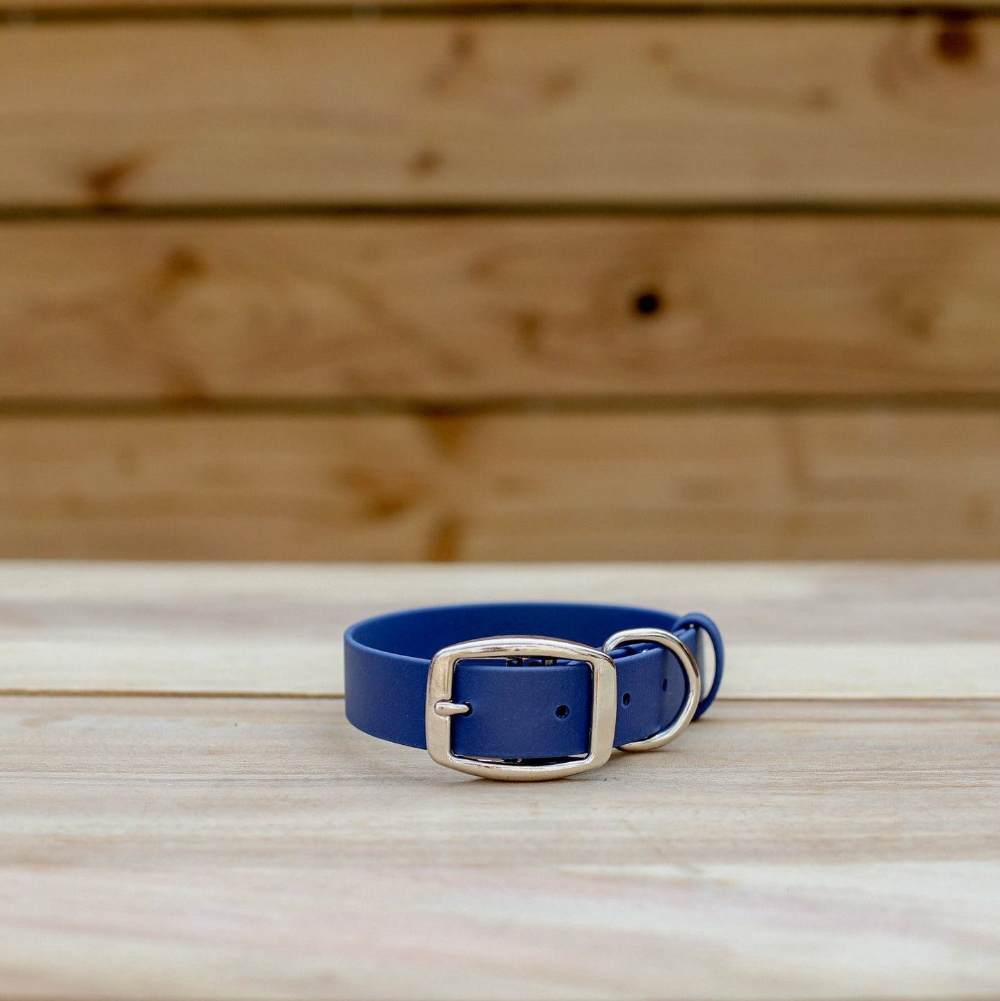 Biothane 1" Classic Buckle Collar