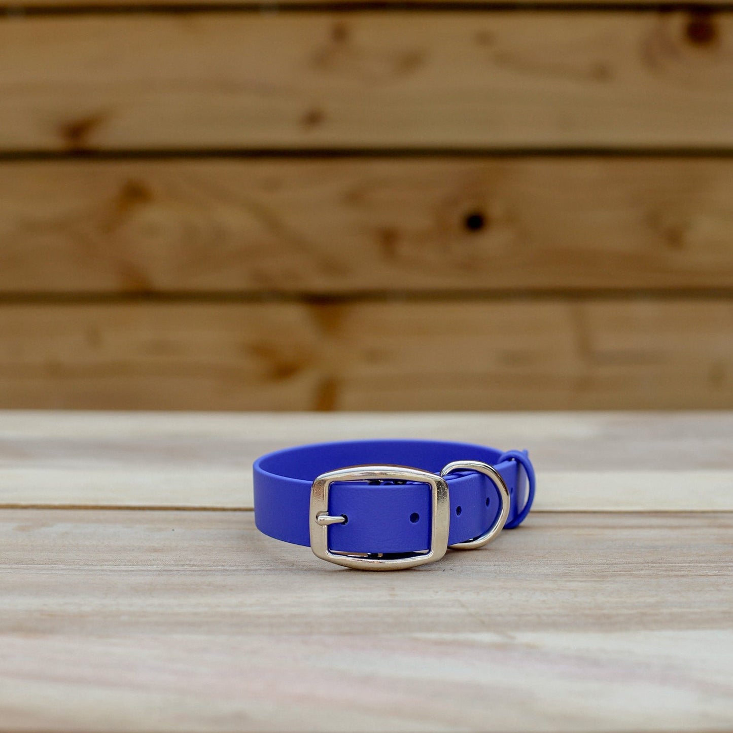 Biothane 1" Classic Buckle Collar
