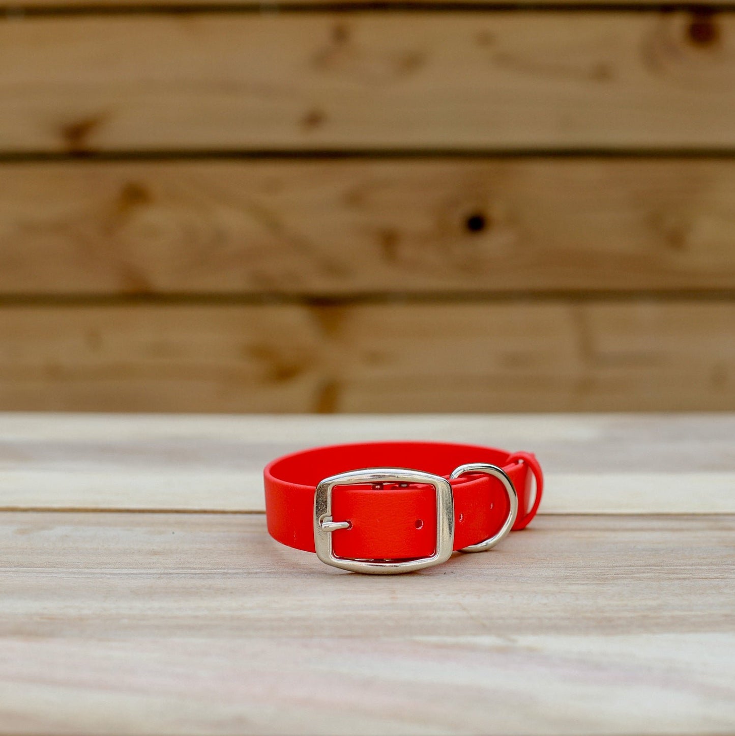 Biothane 1" Classic Buckle Collar