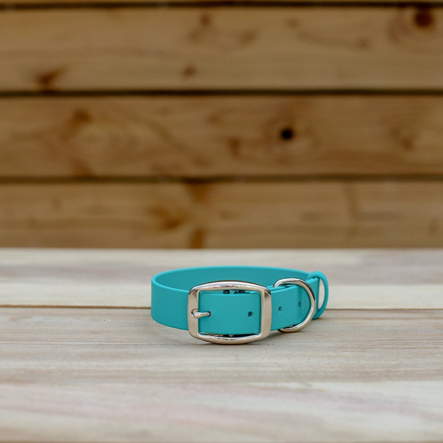 Biothane 1" Classic Buckle Collar