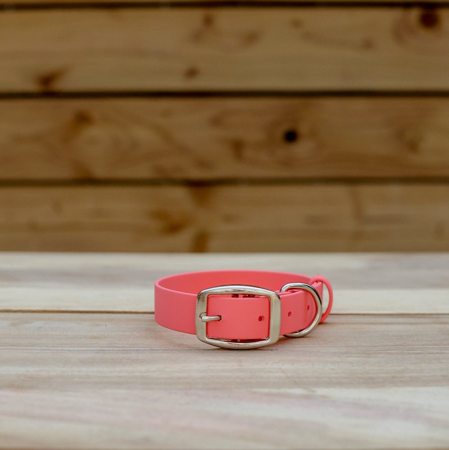 Biothane 1" Classic Buckle Collar