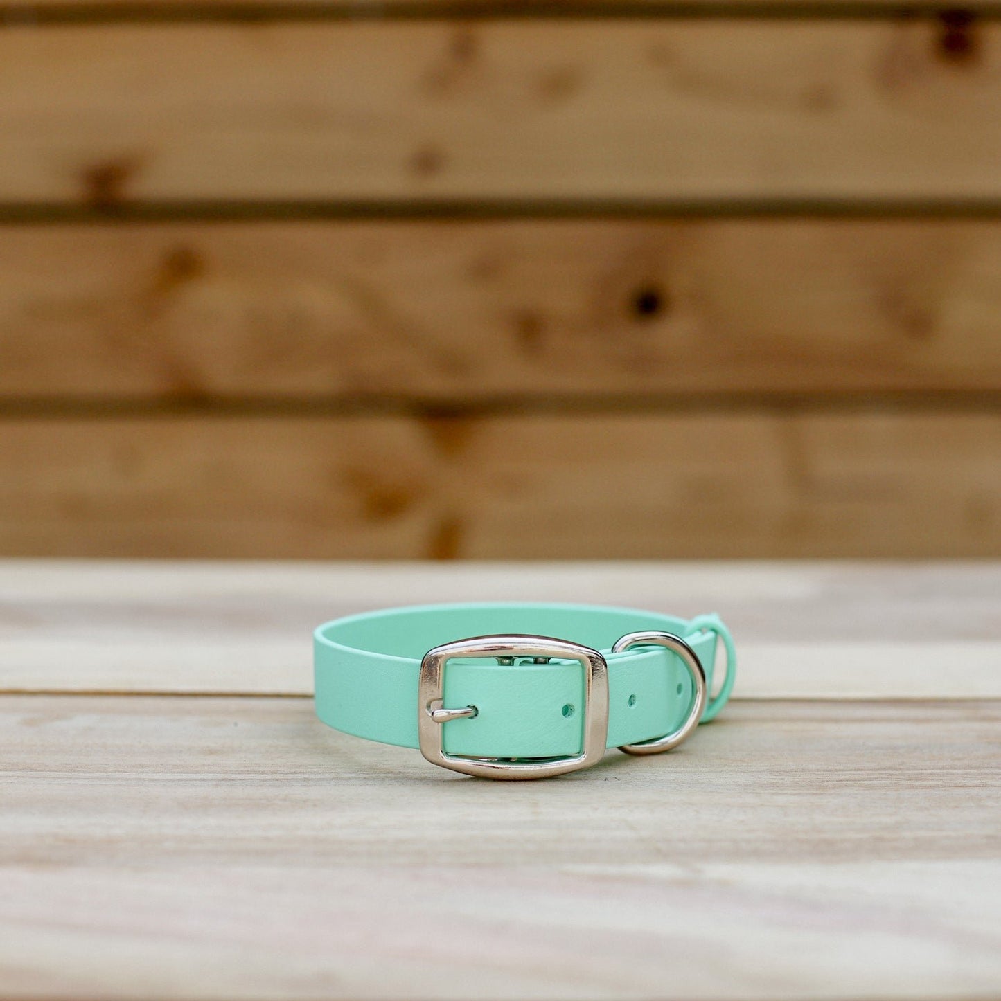 Biothane 1" Classic Buckle Collar