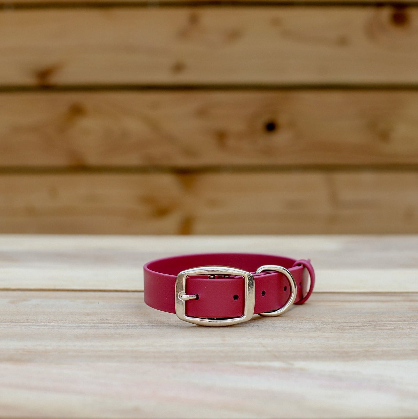 Biothane 1" Classic Buckle Collar