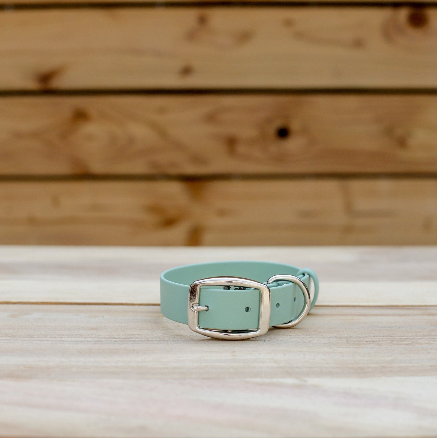 Biothane 1" Classic Buckle Collar
