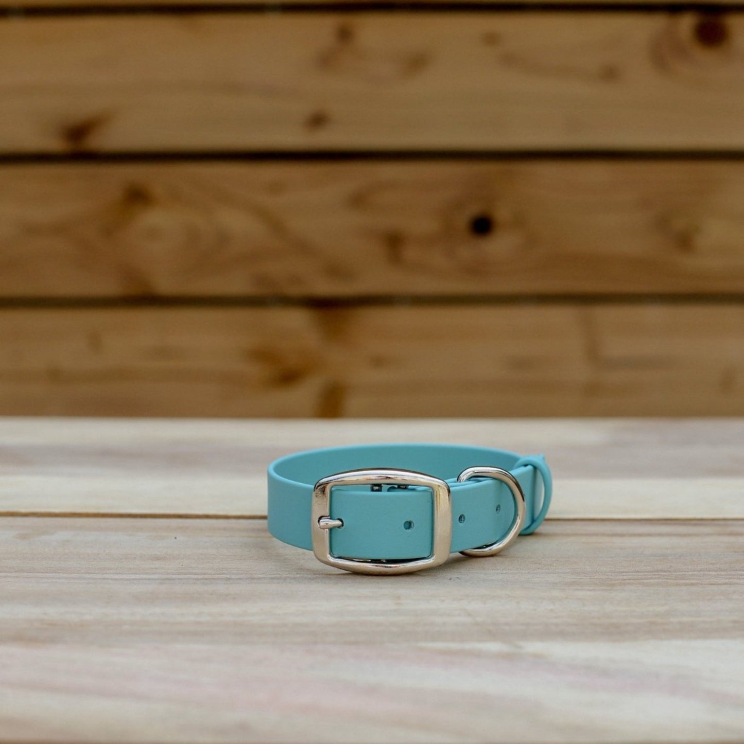 Biothane 1" Classic Buckle Collar