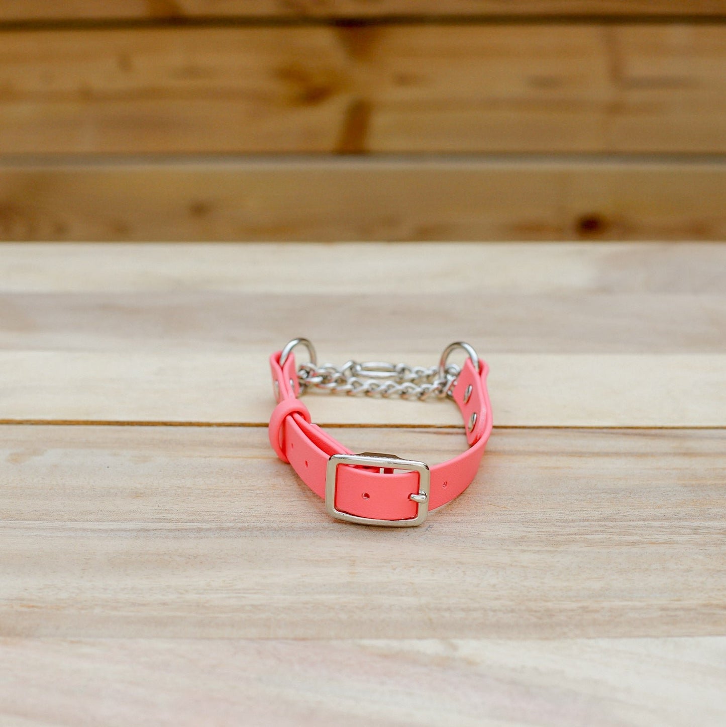 Biothane 3/4" Classic Martingale Collar