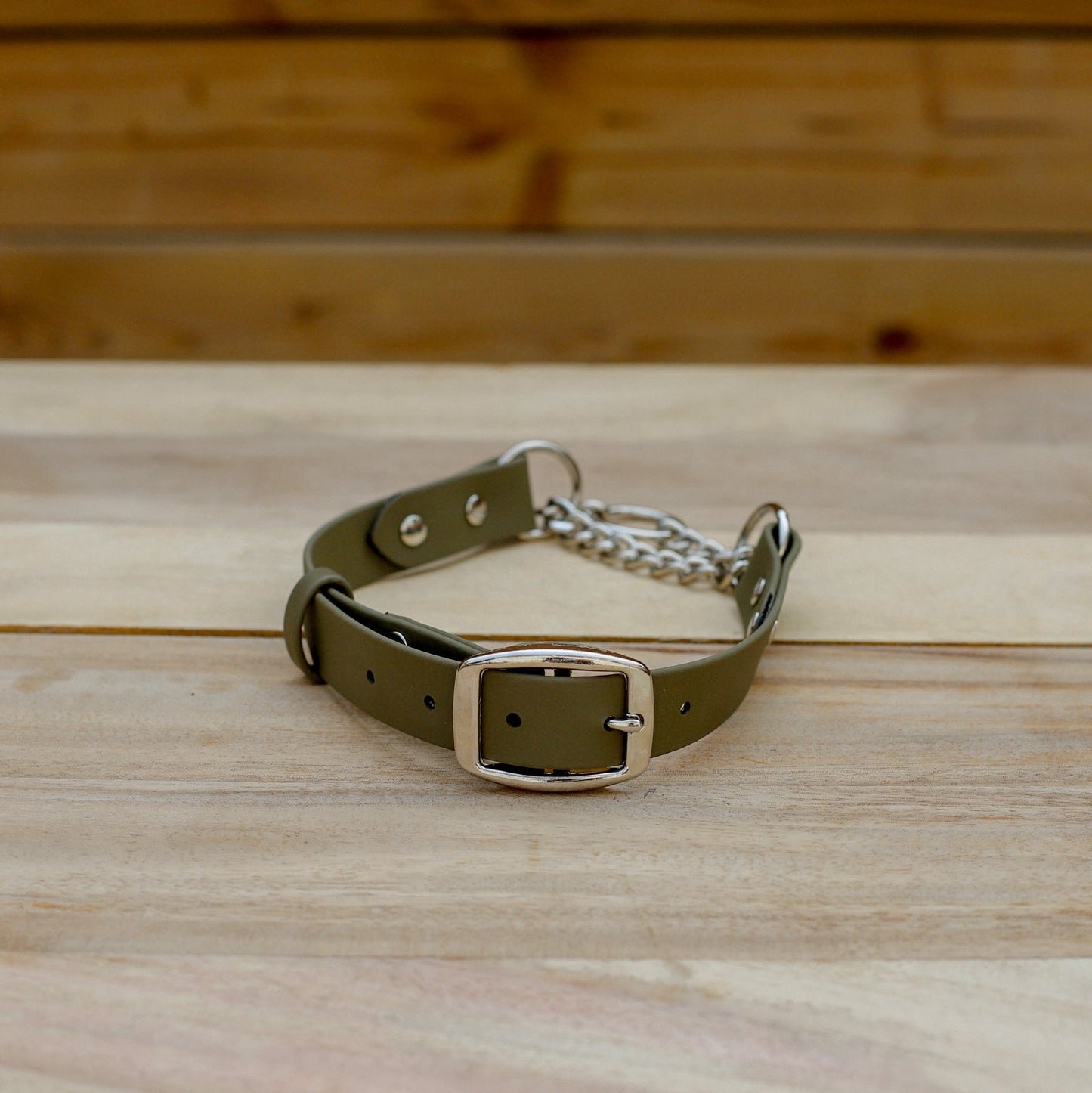 Biothane 1" Classic Martingale Collar