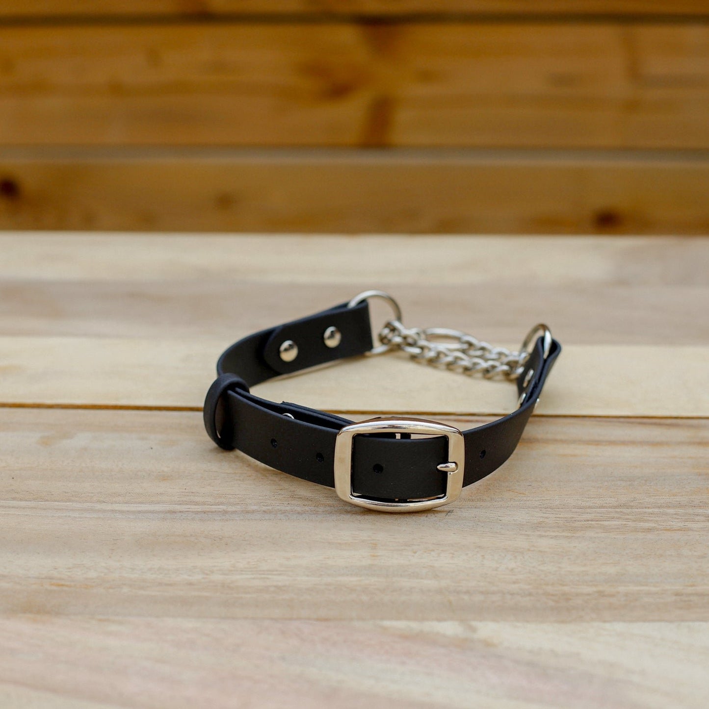 Biothane 1" Classic Martingale Collar
