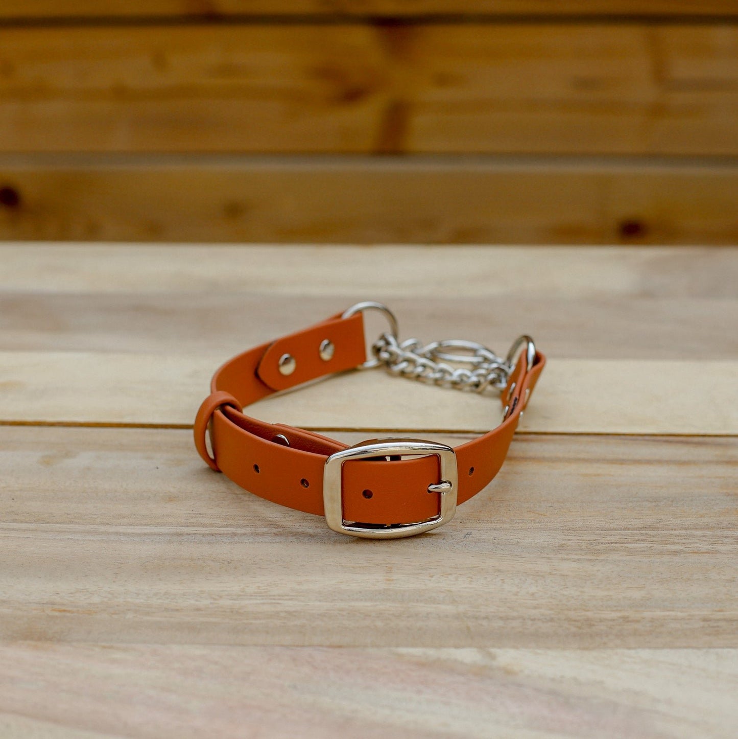 Biothane 1" Classic Martingale Collar