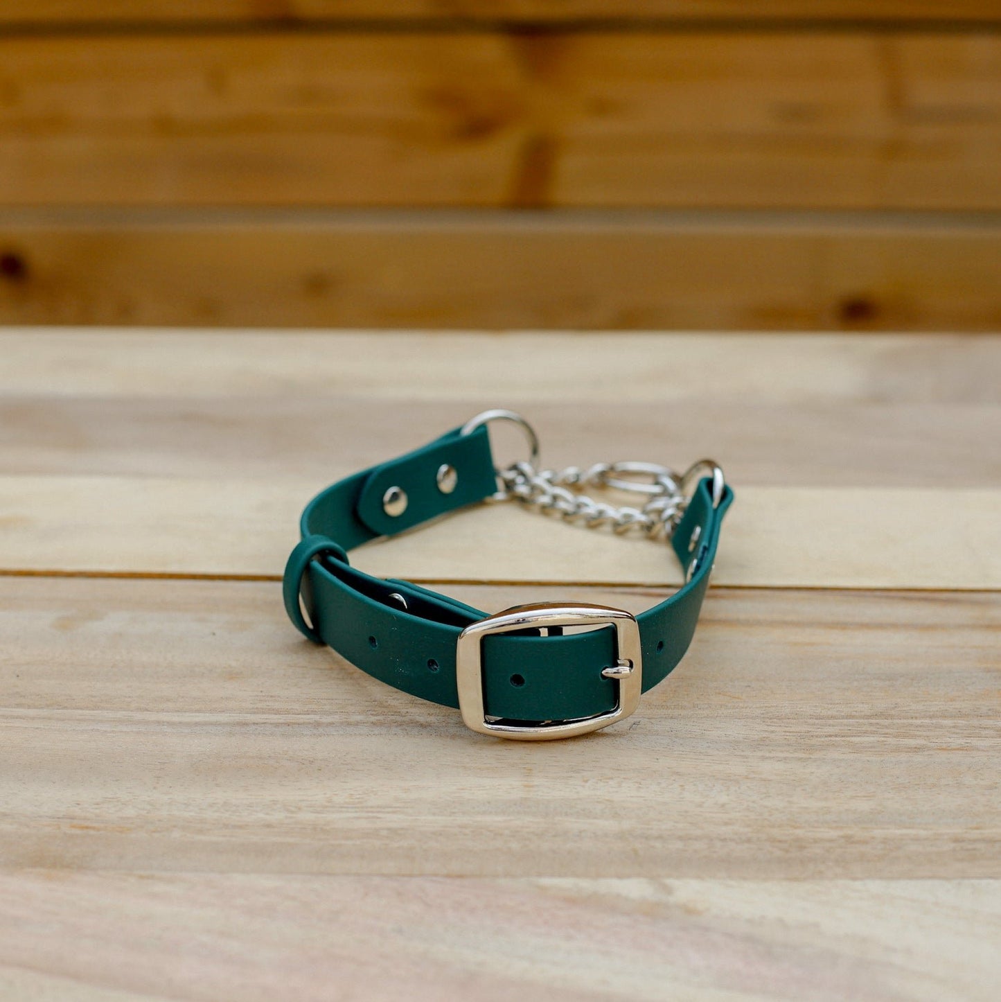 Biothane 1" Classic Martingale Collar