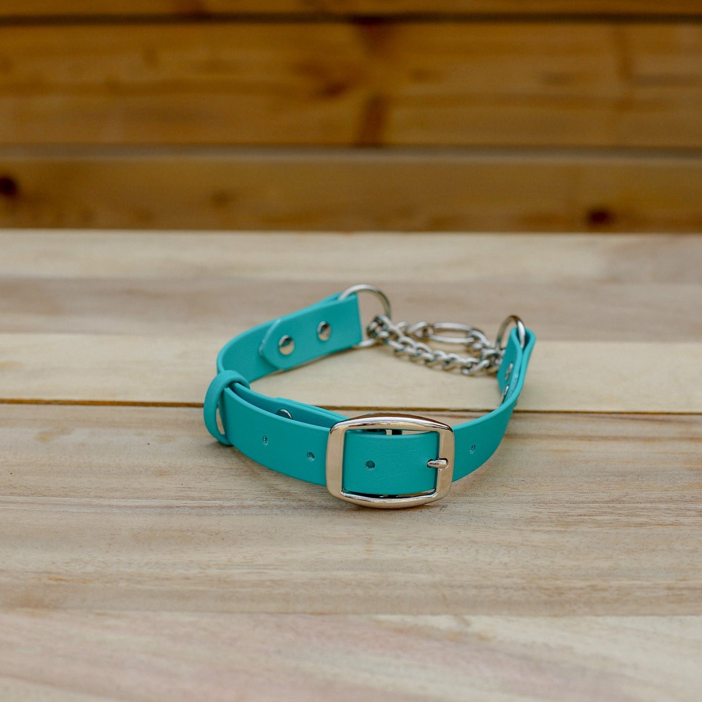 Biothane 1" Classic Martingale Collar