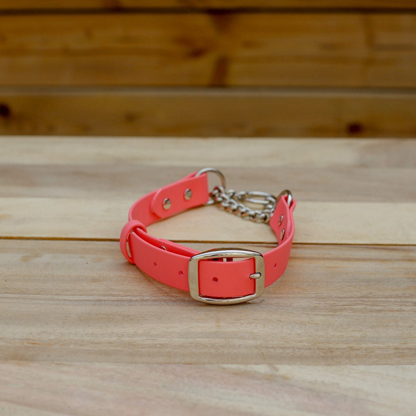 Biothane 1" Classic Martingale Collar