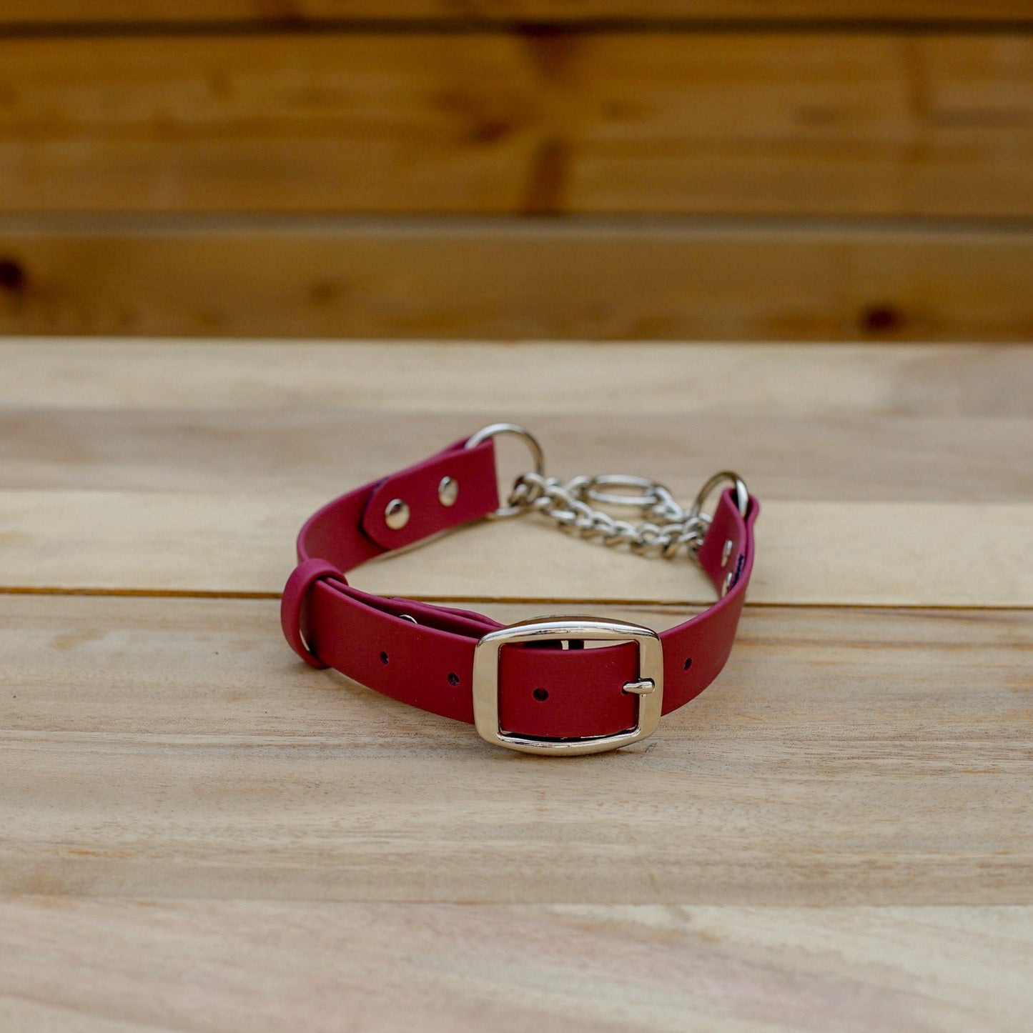Biothane 1" Classic Martingale Collar