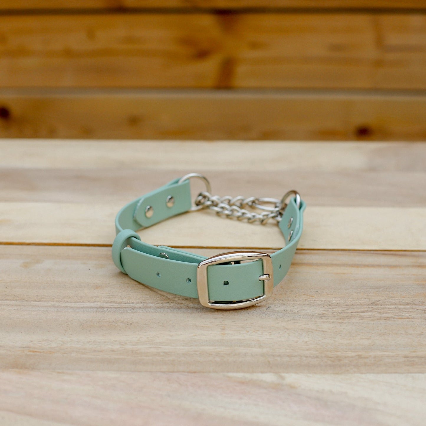 Biothane 1" Classic Martingale Collar