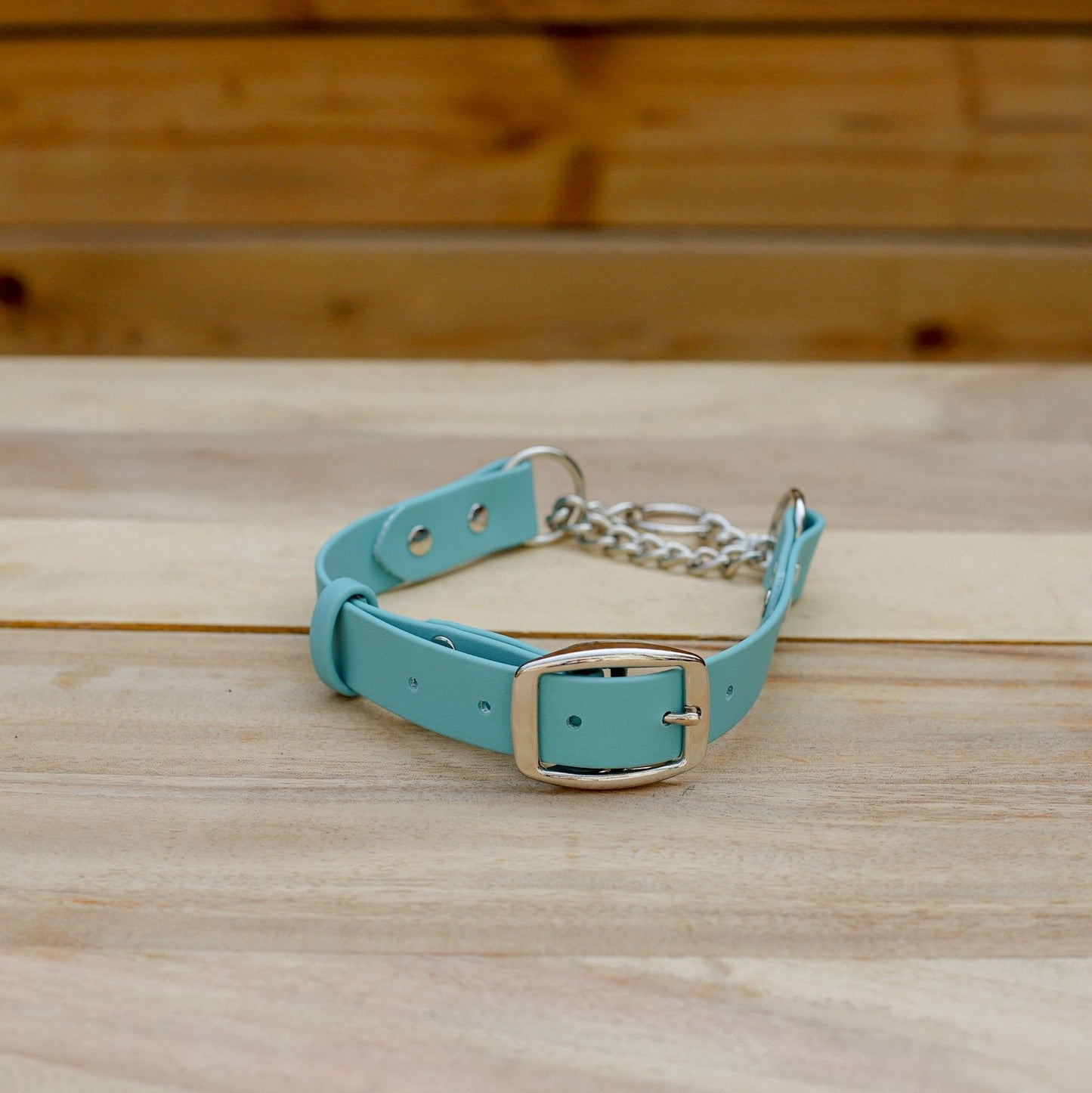 Biothane 1" Classic Martingale Collar