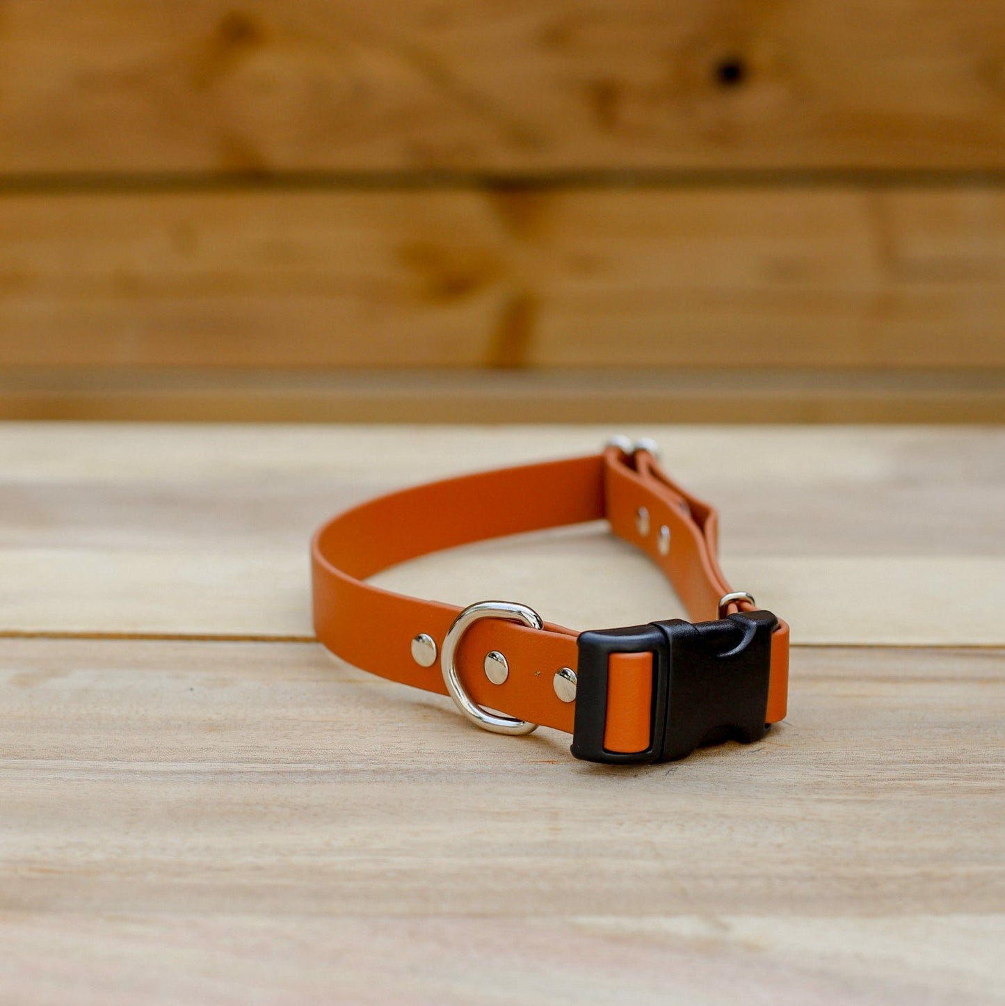 Biothane 1" Adjustable Collar