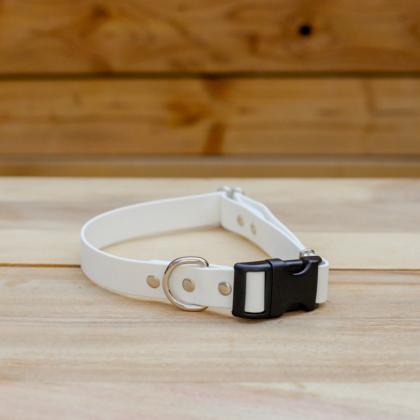 Biothane 1" Adjustable Collar