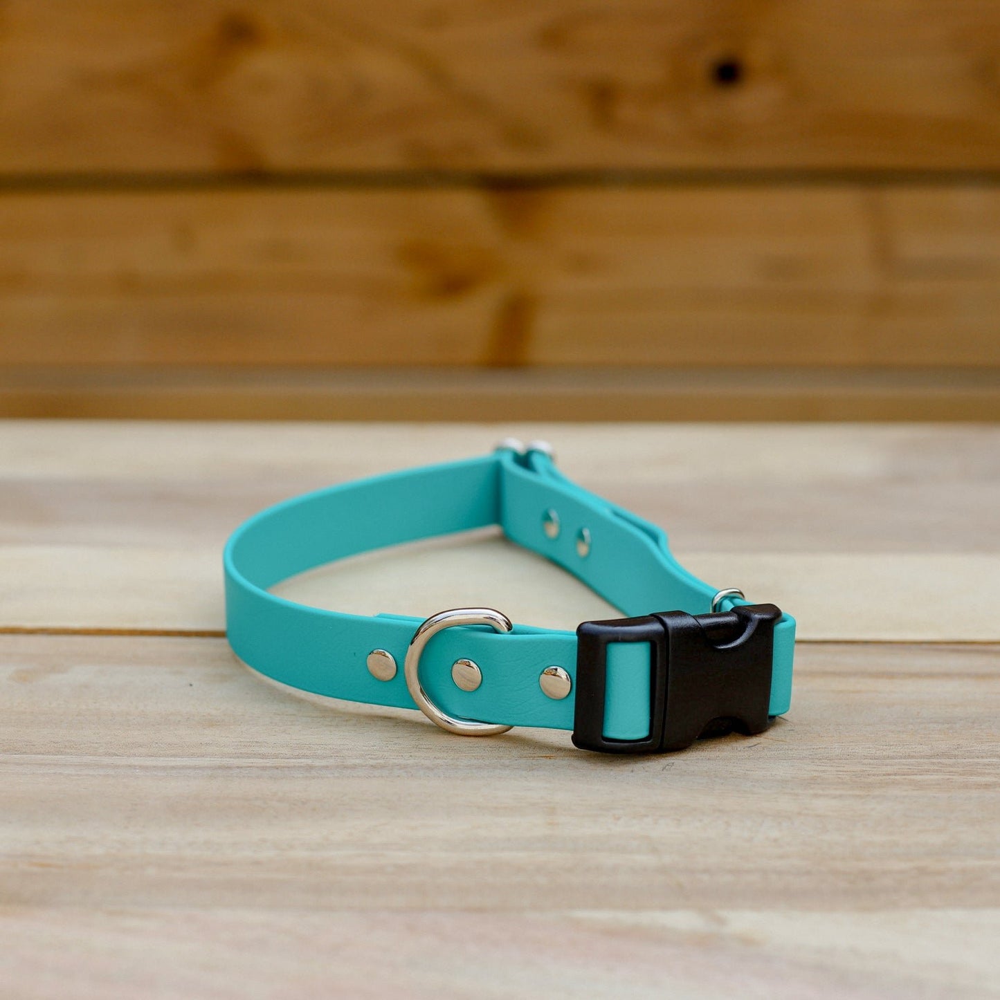 Biothane 1" Adjustable Collar