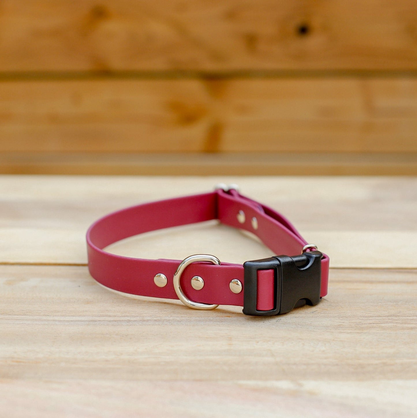Biothane 1" Adjustable Collar