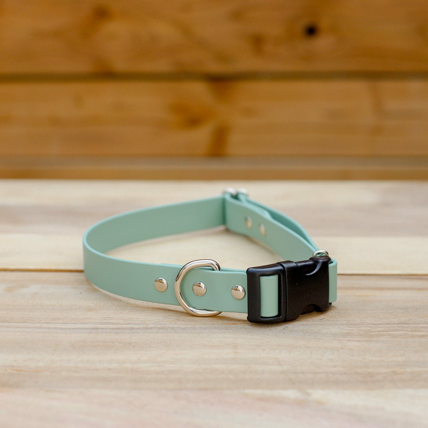 Biothane 1" Adjustable Collar
