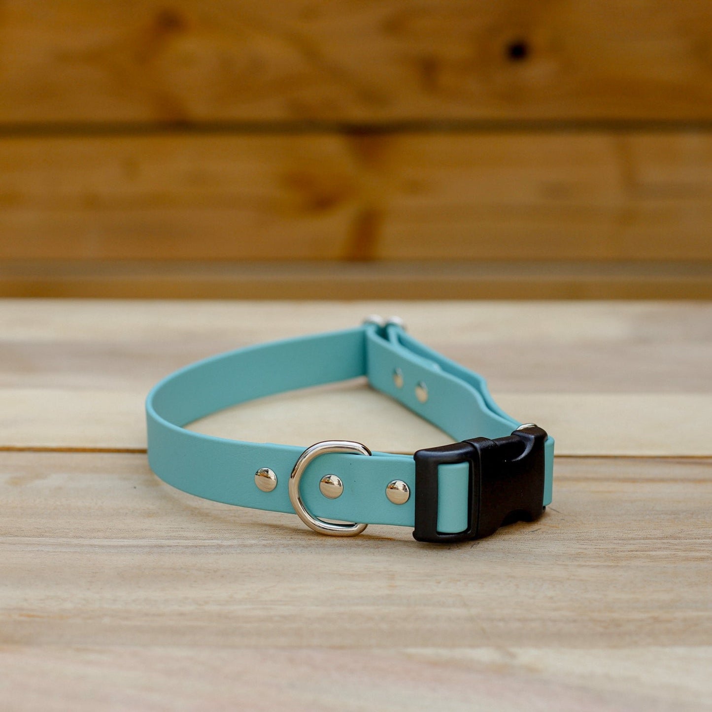 Biothane 1" Adjustable Collar