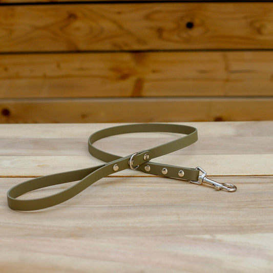 Biothane 5/8" Classic Leash