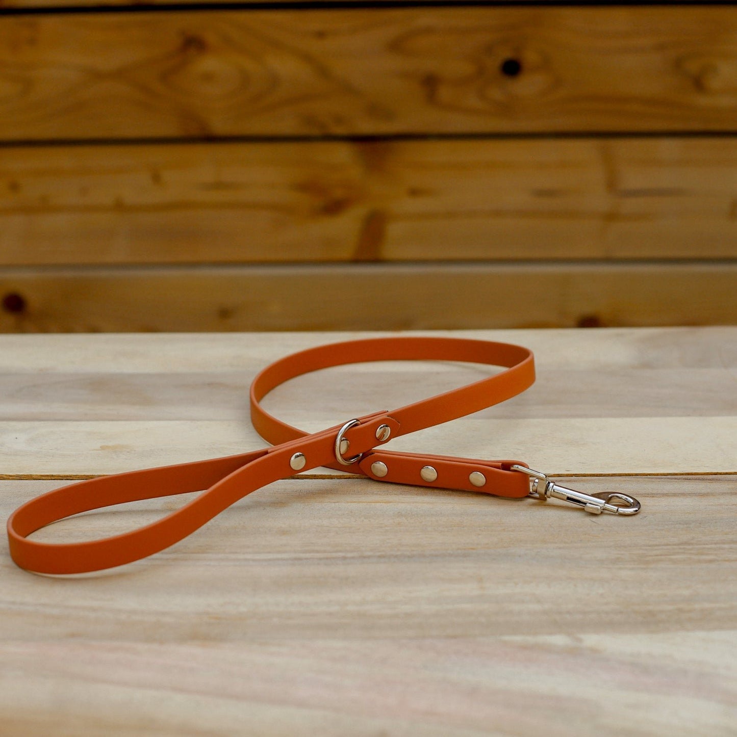 Biothane 5/8" Classic Leash