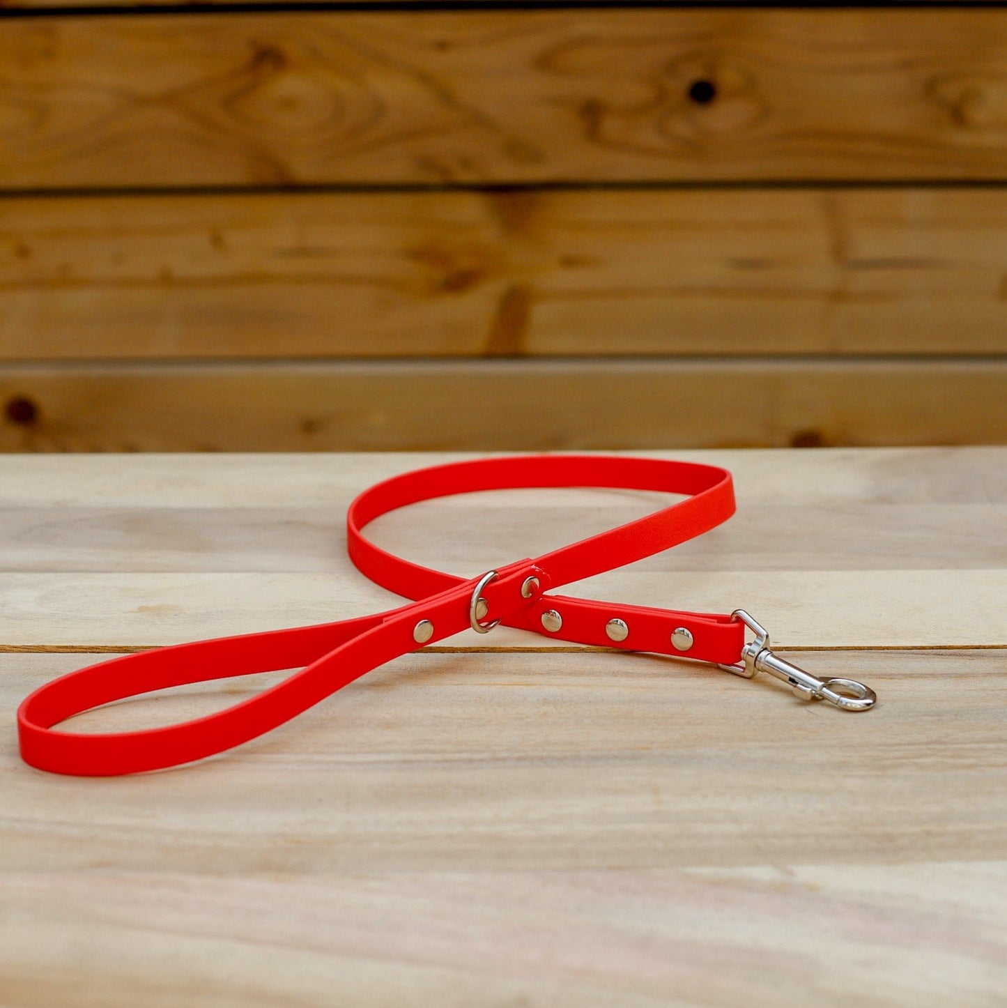 Biothane 5/8" Classic Leash