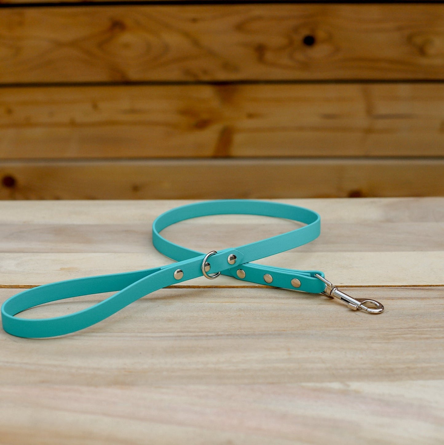 Biothane 5/8" Classic Leash
